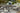 Visola - Gray - 7 Pc. - Dining Set with 6 Chairs